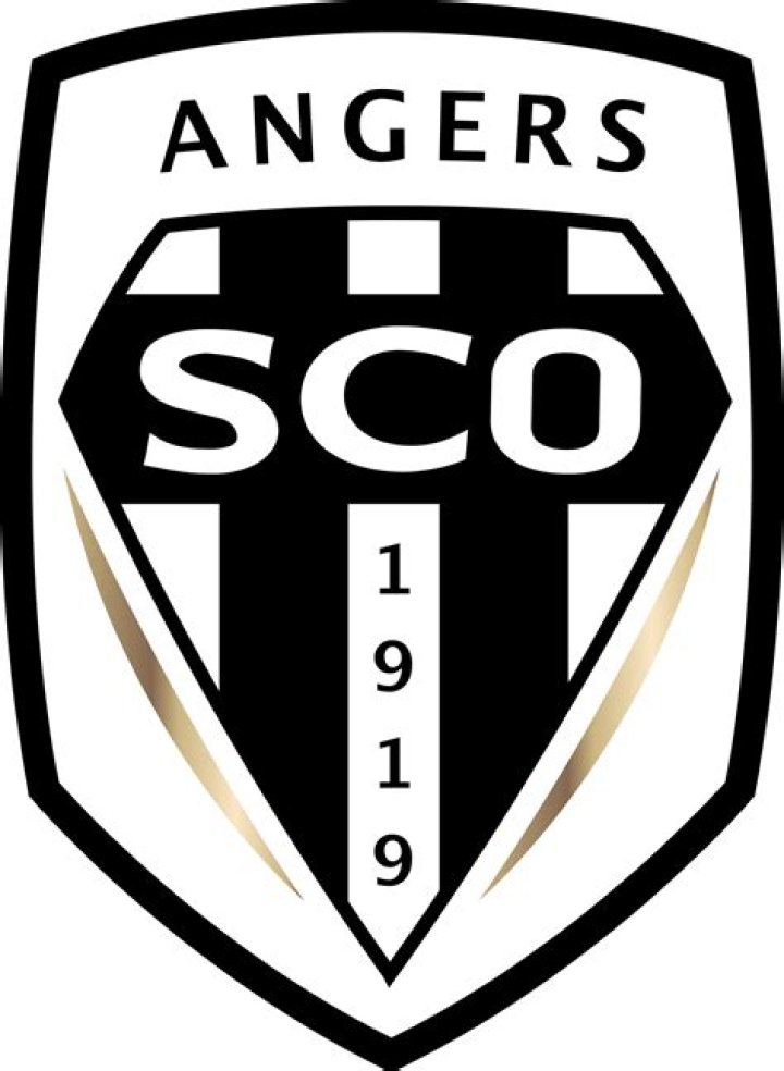 Angers SCO 2023 Wages | Player & Team totals