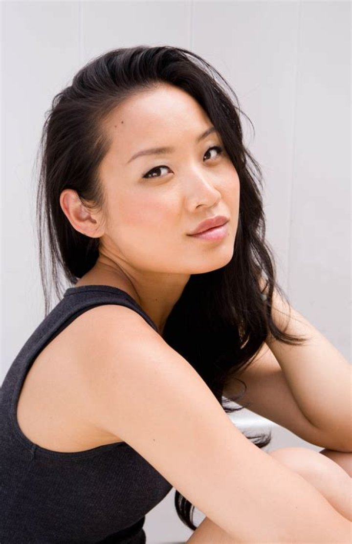 Li Jun Li's Wiki (Wu Assassins)